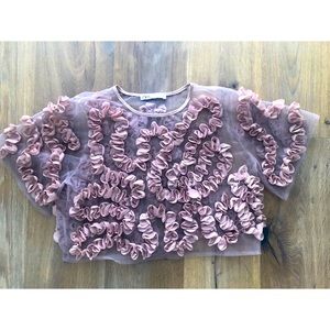Zara sheer organza crop top
